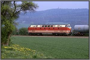 219 194 mit Kesselwagenganzzug vor Neustadt (Orla)