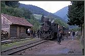 764 484 in Valea Scradei