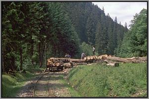 Holzverlad bei Poiana Novat