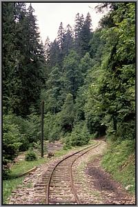 Streckengleis im Valea Novat