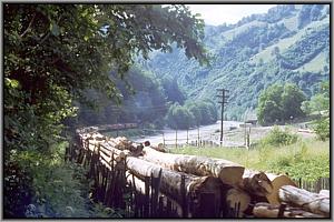 764 469 bei Novat