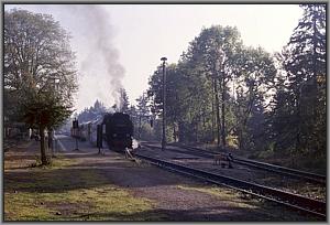 99 7234 in Drei Annen Hohne