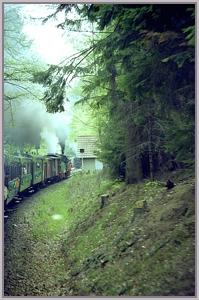 Sonderzug vor Dr�ngetal