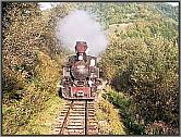 Mit 764 408 nach Botizu