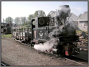 763 193 in Viseu de Sus