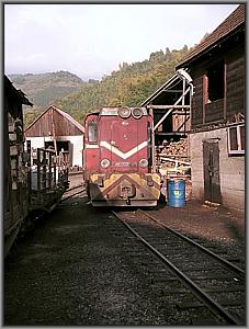 87 0032 in Viseu de Sus