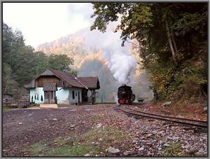 764 211 in Cozia
