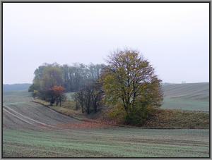 Bahndamm bei M�ncheberg