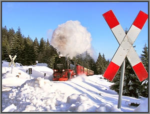 99 7240 auf der Brockenstrecke