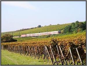 143 197 bei Hattenheim