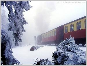 Zum Vergrößern auf das Bild klicken! Dort können Sie auch blättern und die Bildunterschriften lesen! 99 7232 am Brocken