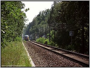 642 416 bei H�hnichen