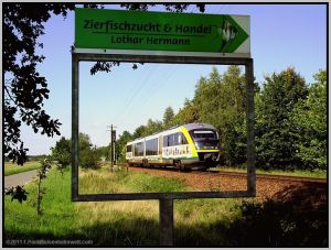 642 415 bei Uhsmannsdorf