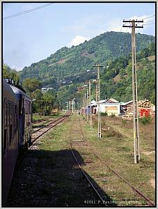 60 1397 in Cosbuc