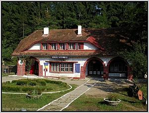 60 1397 in Dealui Stefanitej