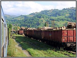 60 1397 in Sacel