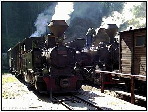 Dampftreffen in Paltin