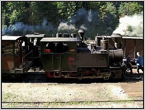 Dampftreffen in Paltin