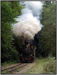 764 211 vor Botizu
