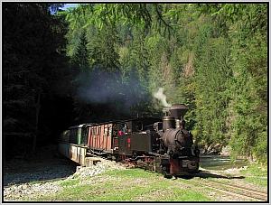 764 211 vor Botizu