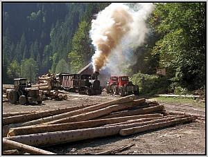 764 211 in Botizu