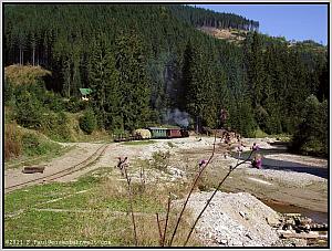 764 211 in Botizu