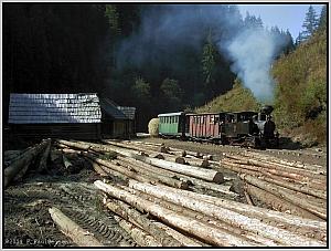 764 211 in Faina