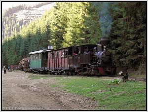 764 211 in Valea Babii