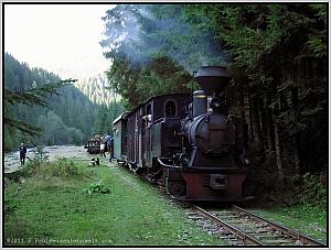 764 211 in Valea Babii