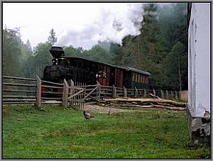 Huhn in Valea Babii