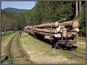 87 0036 in Faina
