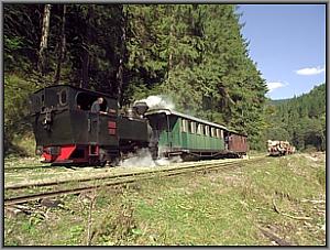 764 211 in Botizu