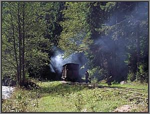 764 211 in Botizu