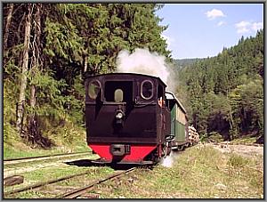 764 211 in Botizu