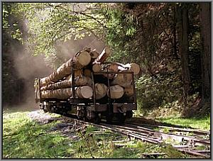 764 211 in Botizu