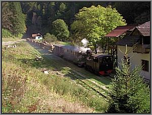 764 211 in Cozia