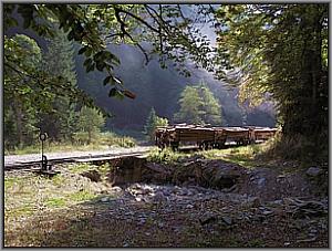 Zug hinter Cozia
