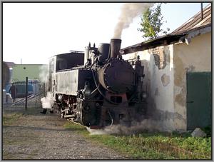 Criscior 5 in Moldovita