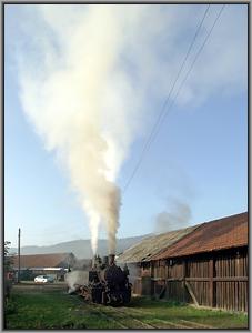 Criscior 5 in Moldovita