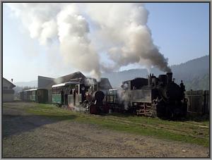 Criscior 5 und 762 209 in Moldovita