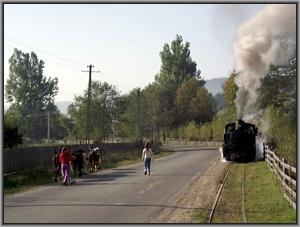 Criscior 5 vor Rasca