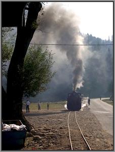 Criscior 5 vor Argel