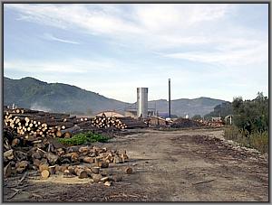 Gel�nde der RG Holz