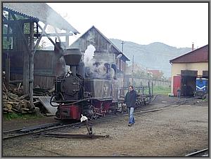 763 193 in Viseu de Sus