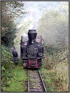 763 193 vor Fabrica Trei