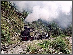 763 193 zwischen Valea Scradei und Priboaia