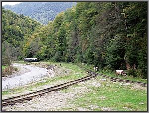 Tw 003 in Novat Delta