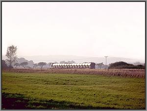 204 016 mit DGS 95062 zwischen Neuburxdorf und Brottewitz