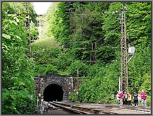 Zum Vergrößern auf das Bild klicken! Dort können Sie auch blättern und die Bildunterschriften lesen! Schwarzkopftunnel