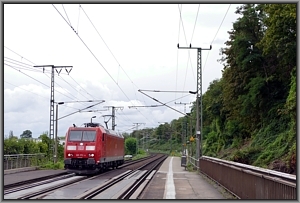 185 172 in Dresden Cotta
